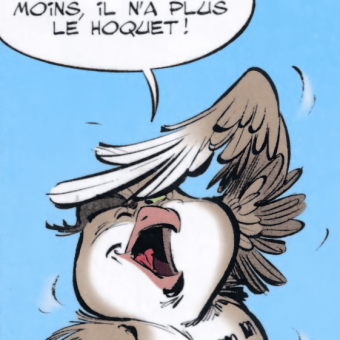 Voldenuix idefix owl nocturnix