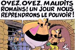 Carnation asterix fr