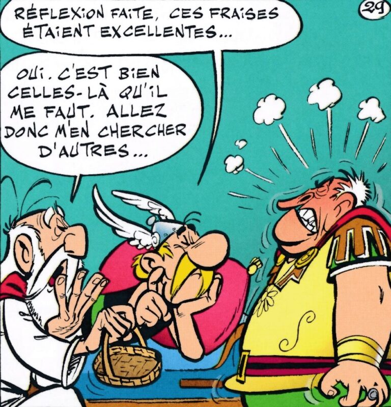 Inside the Cauldron: The Secrets of Getafix’s Magic Potion – Asterix ...