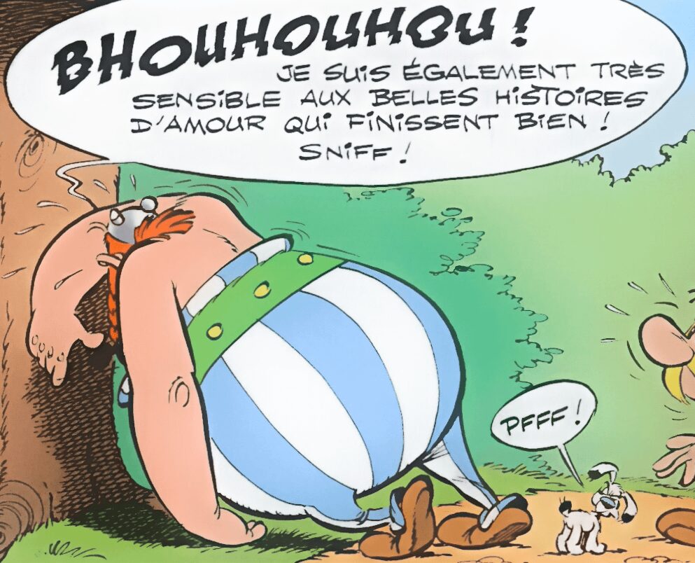 Obelix upset grand fosse