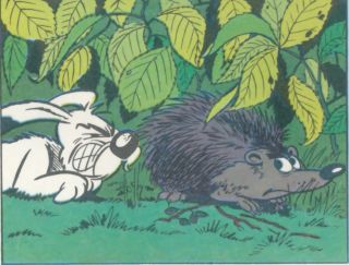 Idefix porcupine 03