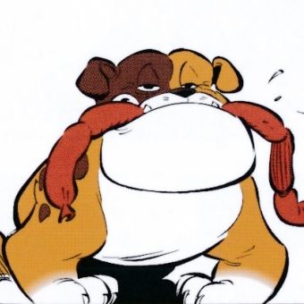 gluttonix dogmatix bulldog
