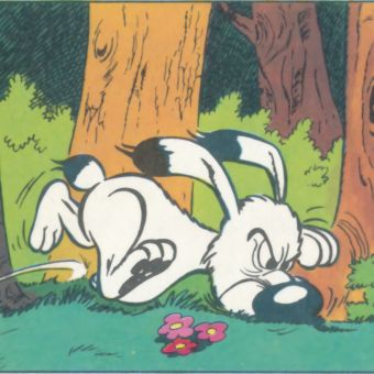 Idefix porcupine 01