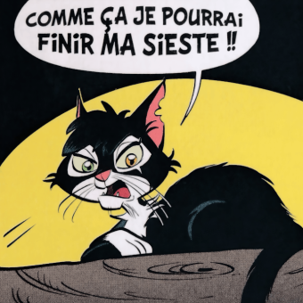 Bantera idefix cat