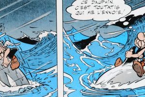 Asterix dolphin latraviata