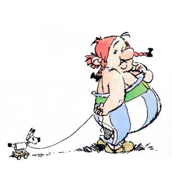 Young obelix idefix